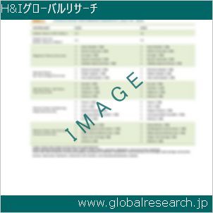 グローバルリサーチ調査レポートのイメージ